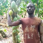 William Adu - @william.adu.3990 - Instagram