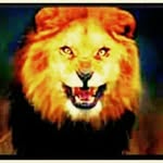 William Agreda - @william.agreda.779 - Instagram