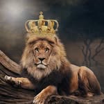 William Asante Agyekum Acquah - @asanteagyekumacquahwilliam - Instagram