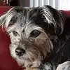 William Aitchison - @william.aitchison2 - TikTok