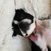 William Aitkenhead - Facebook