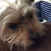 williamaitkenhead - @lili_mc_double - TikTok