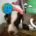 William Ake - Facebook