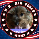 William Akridge - @william.akridge.9678 - Instagram