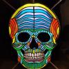William Alamo - @william.alamo - TikTok