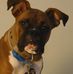 William Albritton - Facebook