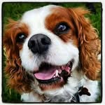 David Robert William Alcorn - @drwa - Instagram