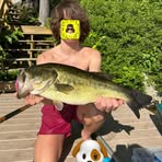 William Alcorn - Facebook