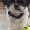 williamalderson26 - @williamalderson26 - TikTok