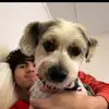 WilliamDAlderson - @williamdalderson - TikTok