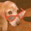 William Ales618 - @william_ales - TikTok