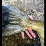 William Ales Seidel - @williamalesseidel - Instagram