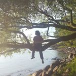 William Allaire - @will_skate77 - Instagram
