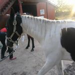 William Alligood - @itsallgoodbilly - Instagram