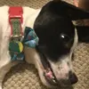 will.alpaugh - @will.alpaugh - TikTok