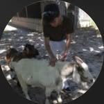 William Amato - @williamamatothree - Instagram