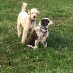William Amburgey - @wa_lancercci - Instagram