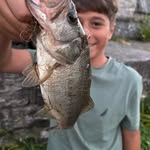 William Amendola - @william_amen00 - Instagram
