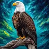 William Amponsah - @william.amponsah31 - TikTok