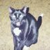 William Amsler - Facebook