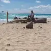Willy Anchondo - @willy.anchondo - TikTok
