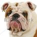 William Anderegg - Facebook
