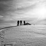 William Anderegg - @will.anderegg - Instagram
