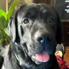 William Anding - @william.anding - TikTok