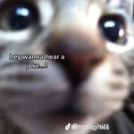 William Andresen - @williamandresen_ - Instagram