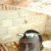 Angelo William - Facebook