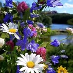 William Smith - @williamanger45 - Instagram