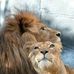 William Antillon - Facebook