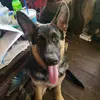 William A Parr Sr - @william.a.parr.sr - TikTok