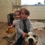 Paul Williama - @williamapaul - Instagram