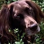 William.apelgren - @william.apelgren1 - Instagram