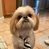 William Apodaca838 - @papadaca.23 - TikTok