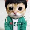 cat-hun - @williamappleton12 - TikTok