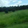 William Appleton - @william.appleton - TikTok