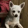 williamdrapps - @williamdrapps - TikTok