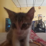 William Arguello - @williamarguello98 - Instagram