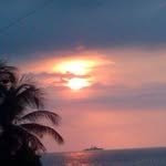 William Armas - @william.armas.10 - Instagram