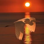 William Armas - @william.armas.1048 - Instagram