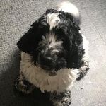 William armfield - @a.will12 - Instagram