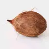 coconut - @williamarp7 - TikTok