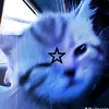 arvin williams - @arvin.williams - TikTok