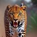 William Asai - Facebook