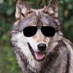 William Atchley - @mr.wildwolf - Instagram