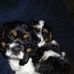 William Attridge - Facebook