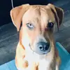 aubrywilliams - @aubrywilliams23 - TikTok