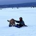 William Audet - Facebook